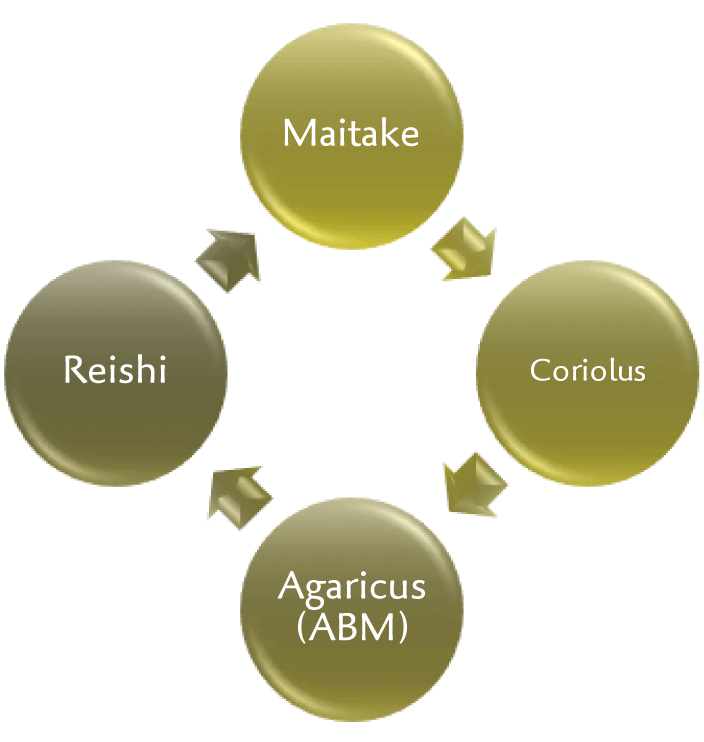 Onko-Basis Kur PLUS+