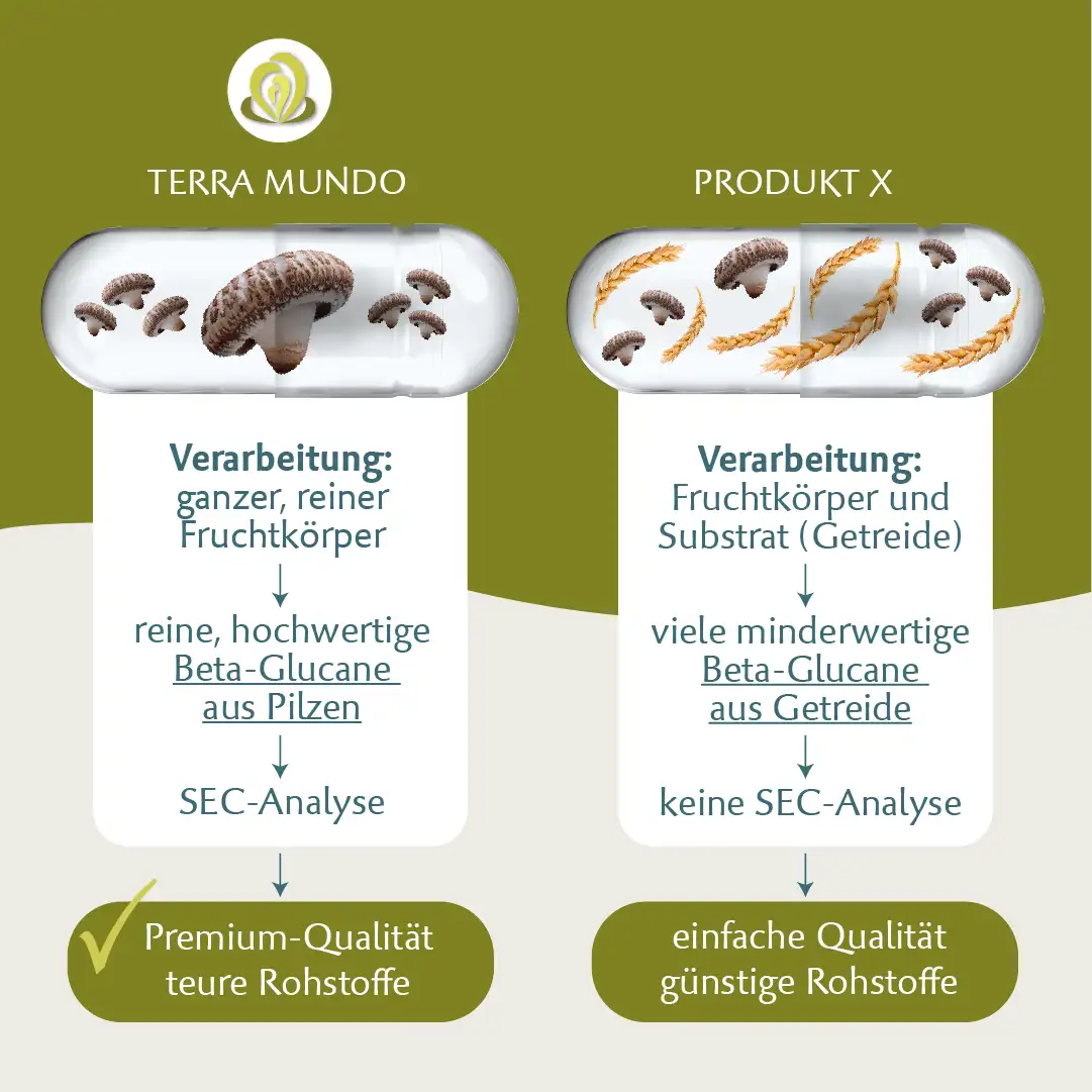 Verarbeitung der Rohstoffe im Shop